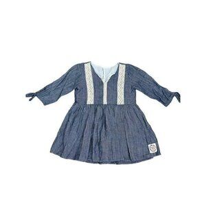 Cheeky Plum Chambray Dress